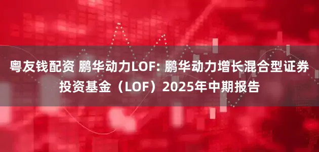粤友钱配资 鹏华动力LOF: 鹏华动力增长混合型证券投资基金（LOF）2025年中期报告